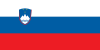 Conference Call with participants from Slovenia